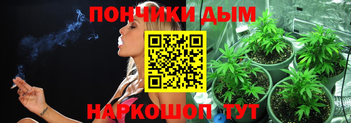 Щёлково  Бошки Шишки индика  Вход с VPN  Каннабис White Widow  Бошки Шишки семена 